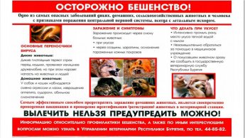 Осторожно! Бешенство!
